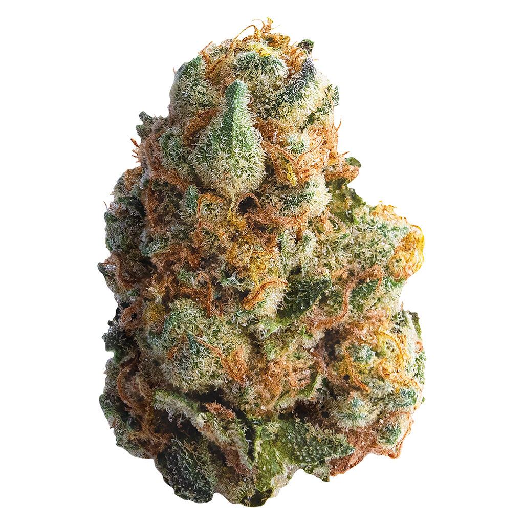 Spinach - GMO Cookies - 3.5g